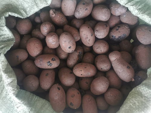 海口找坡陶粒實力廠家