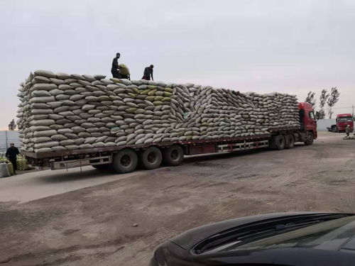 承德縣輕骨料陶粒施工工藝